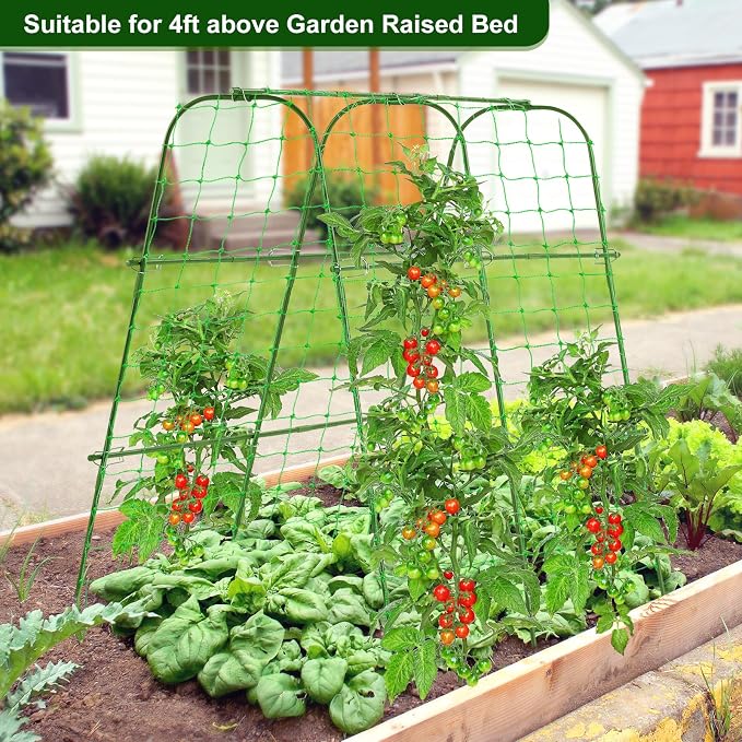 Garden Cucumber Trellis for Climbing Plants Outdoor, 48x48inch U-Shape Arch - Image 6