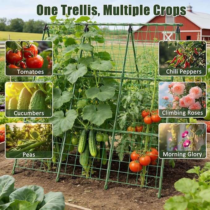 Miory Cucumber Trellis for Raised Beds, 48 x 48 Inch Metal A-Frame Garden - Image 8