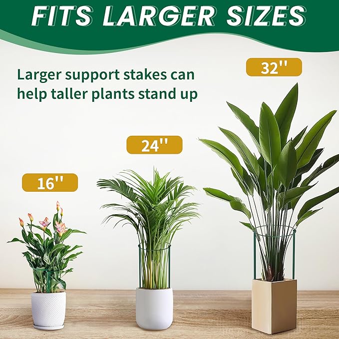 TCBWFY 14" Dx32 H Plant Supports Stakes - Image 6