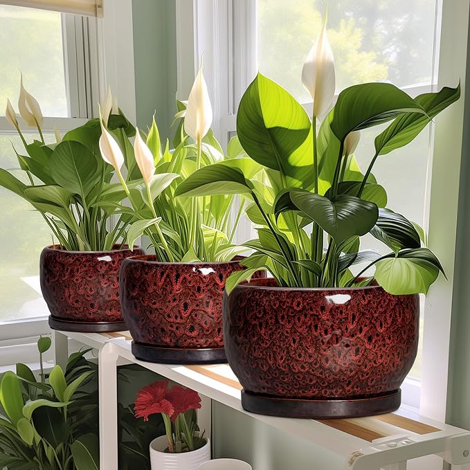 SQOWL Ceramic Flower Pots - Image 6