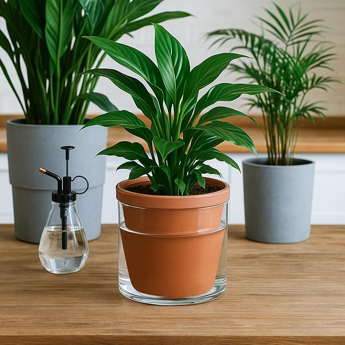 D'vine Dev 6 Inch Design Self Watering Pot - Image 2