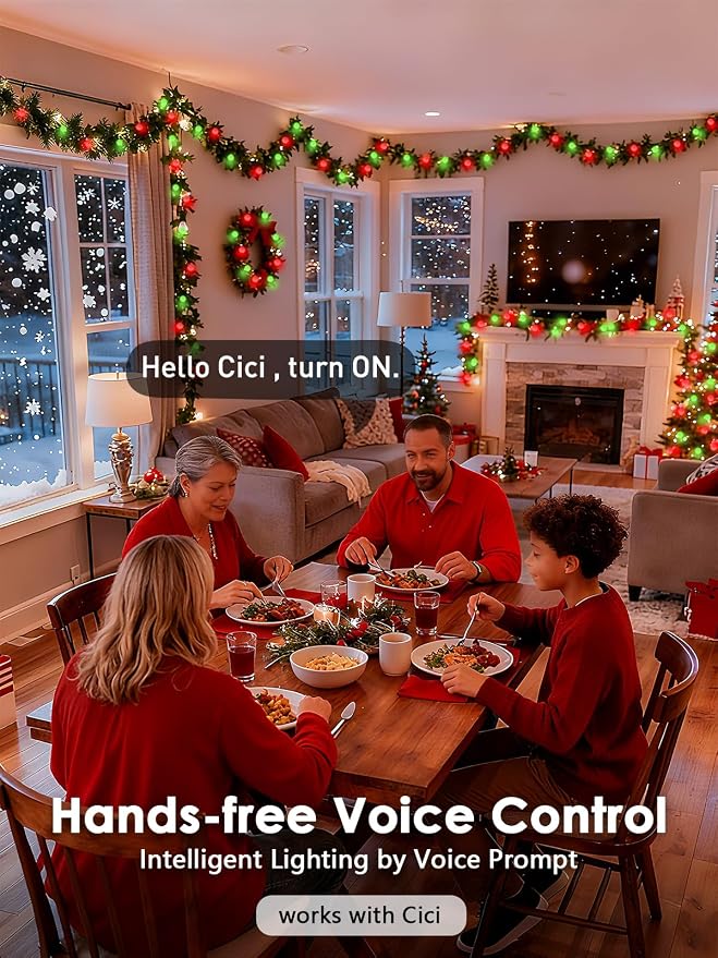 2026 New Connectable 43FT Smart Voice Controlled String Lights Indoor Outdoor | - Image 2