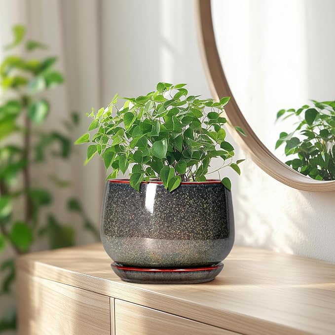 G EPGardening 7 Inch Ceramic Pots - Image 6
