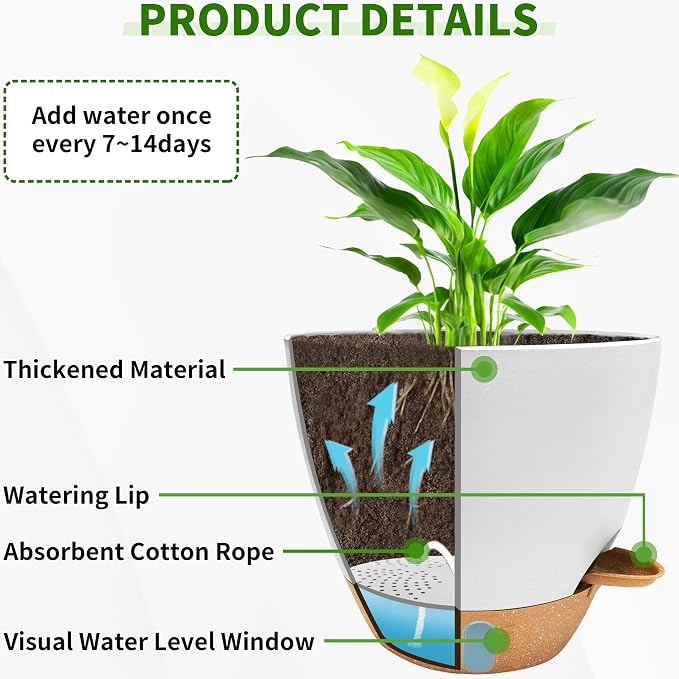 12/10/9/8 inch Self Watering Pots - Image 3