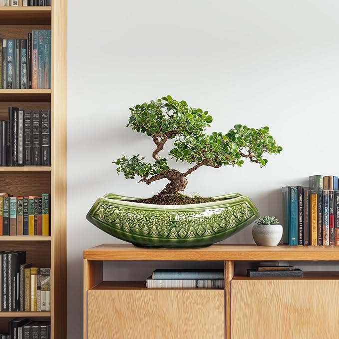 Bonsai Planter 18 Inch - Image 3
