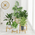 5 Pack Plant Stand Indoor Outdoor, Flower Pot Stand Plant Rack by Unknown