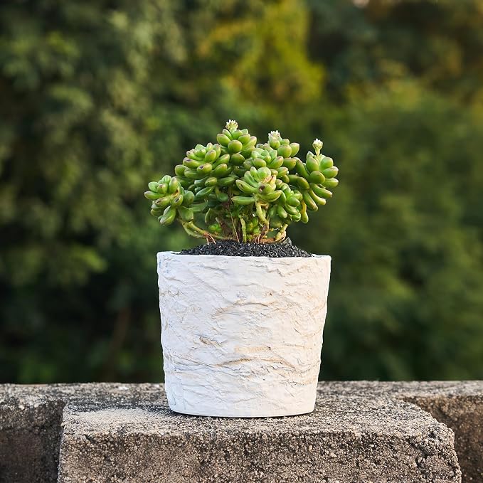 Ekirlin 7 Inch Natural Ore Textures Plant Pot, Resin Outdoor Planters - Image 6
