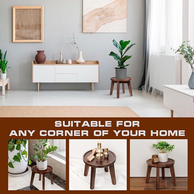 Demigo Indoor Plant Stand, Acacia Wooden Decorative Plant Shelf - Image 5