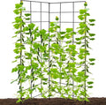59" H x 31" L Foldable Cucumber Trellis by NNG