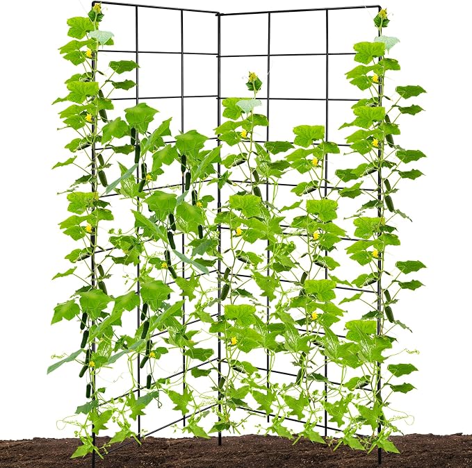 59" H x 31" L Foldable Cucumber Trellis by NNG
