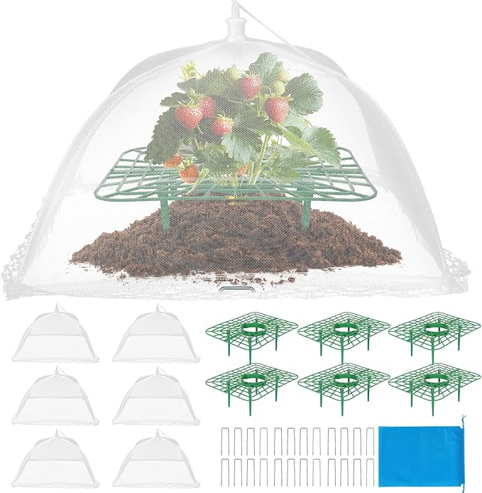 4 Sets Strawberry Plant Support by Unknown