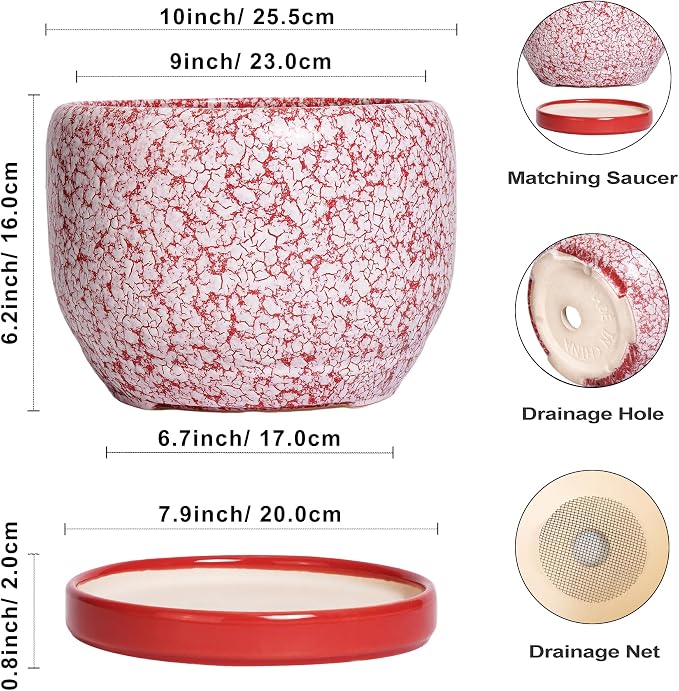 SQOWL Ceramic Planters for Indoor Plants - Image 3