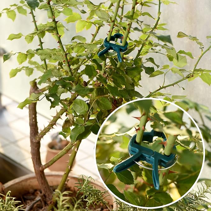 Plant Support Clips, Gardening Lever Loop Gripper Clips Help Stems Vines Grow - Image 5