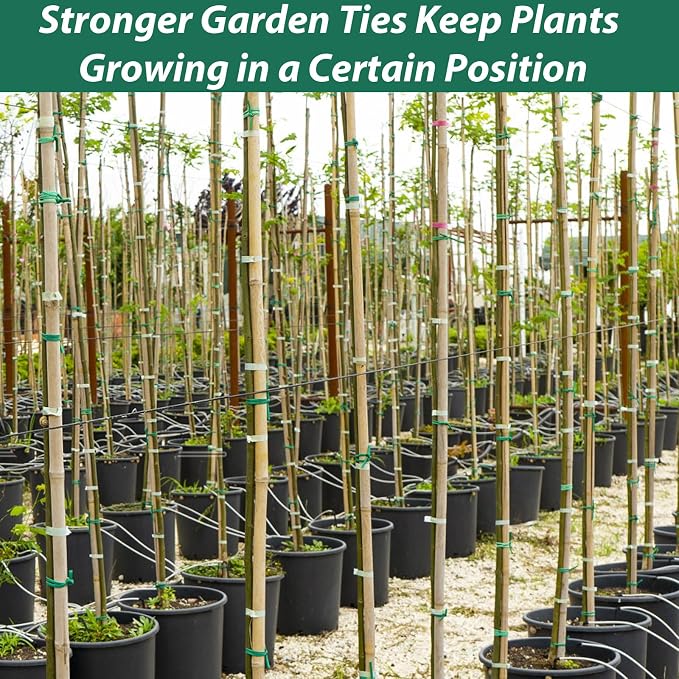 YDSL 100 Feet Soft Tie for Plants, 3 Pack Green Twist Garden Ties Gardening - Image 7