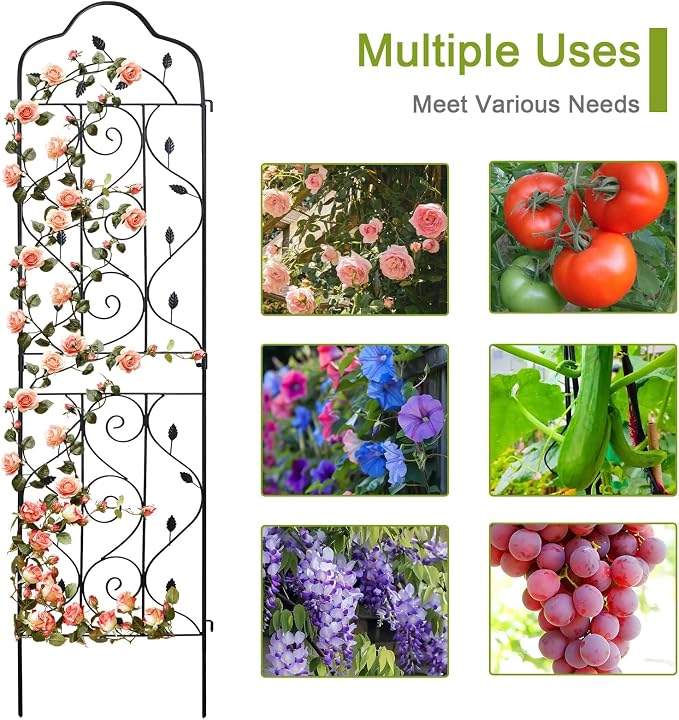 hogardeck 4 Packs 72 * 18 inch Metal Garden Trellis - Image 4