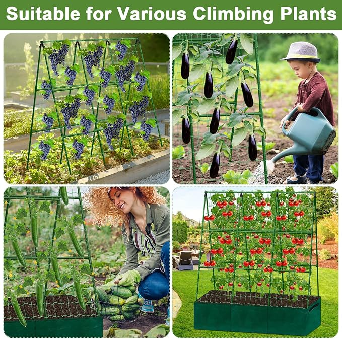 Cucumber Trellis for Garden, 50 x 54 Inches A Frame Gardening Trellis - Image 7