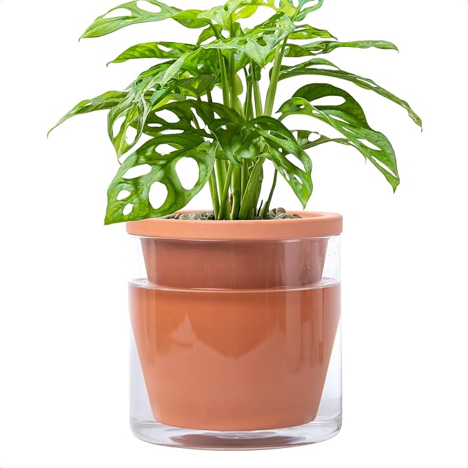 D'vine Dev 6 Inch Design Self Watering Pot by DvineDevPlanterPotsandStand