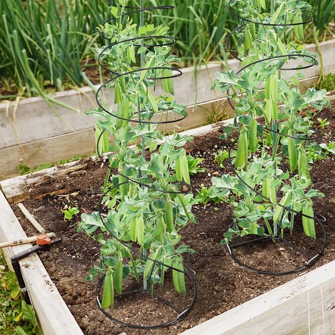 Pea Trellis Green Bean Trellis for Garden - Image 5