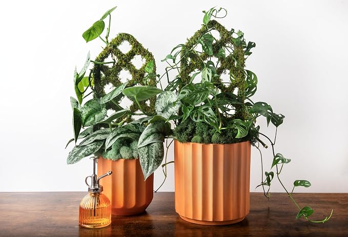 SuperMoss Plant Trellis - Image 6