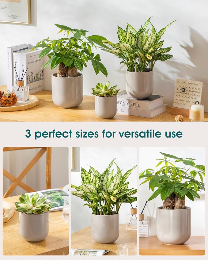 vancasso Ceramic Plant Pots, 4+5+6 inches, Planters - Image 5