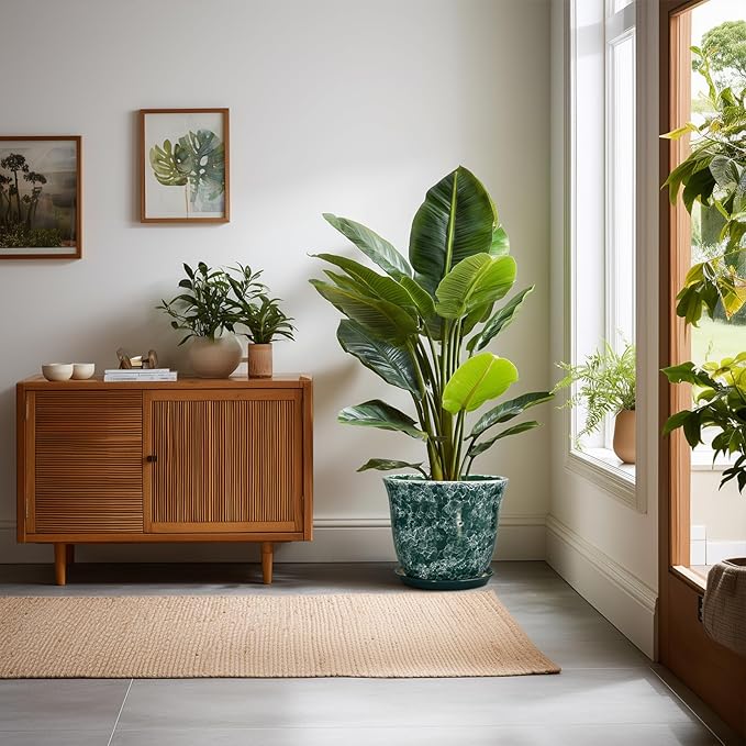 Ceramic Plant Pots - Image 3