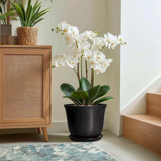 Ceramic Plant Pots - Image 5