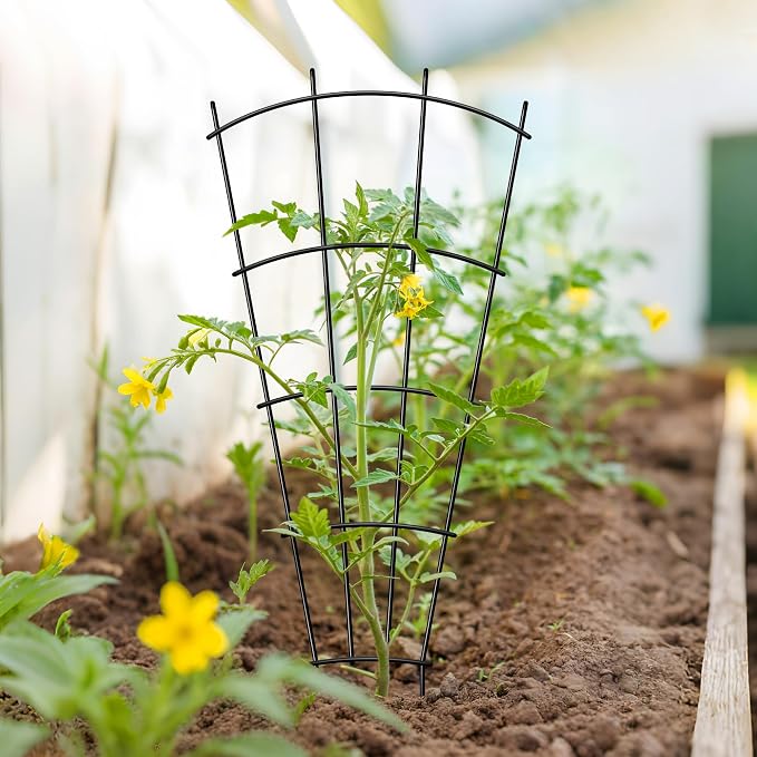 4 Pack 43'' Indoor Plant Trellis - Image 9