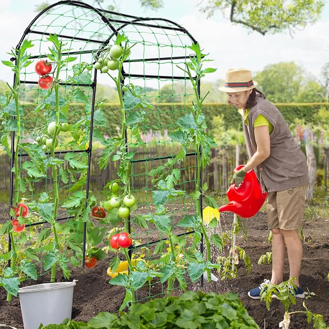 Garden Arch Cucumber Trellis for Climbing Plants Outdoor, 6.7ft Tall Archway - Image 2