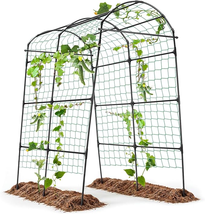 Garden Arch Arbor Trellis for Climbing Plants Outdoor, 7.8 ft Extra Tall by yotoworthgardenhome