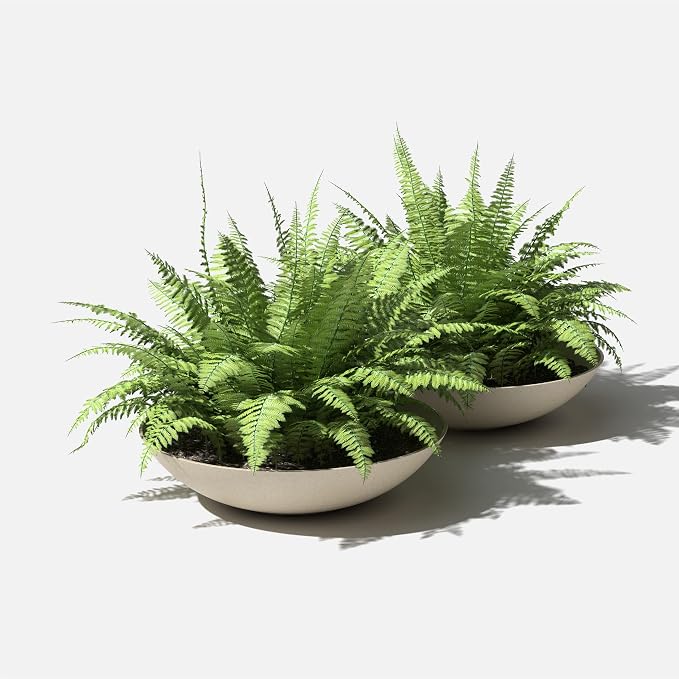 Veradek Mason Series Lane Bowl Planter| - Image 8