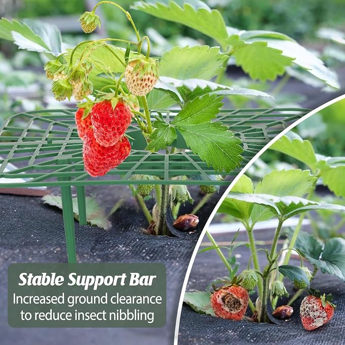 6 Sets Strawberry Plant Support - Image 7