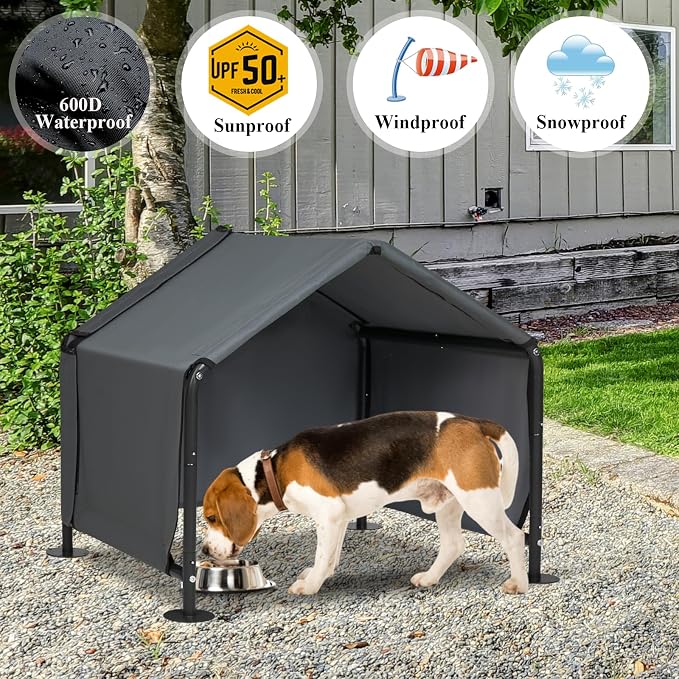 Dog Shades for Outside - Image 3