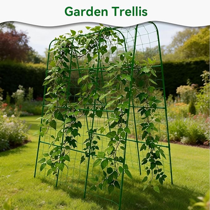 Cucumber Trellis - Image 7