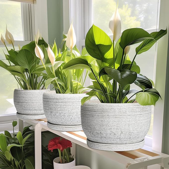 SQOWL Ceramic Flower Pots - Image 6