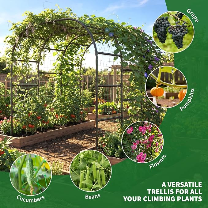 Tall Garden Arch Trellis for Climbing Plants, 88in Tall Metal Plant Support - Image 4