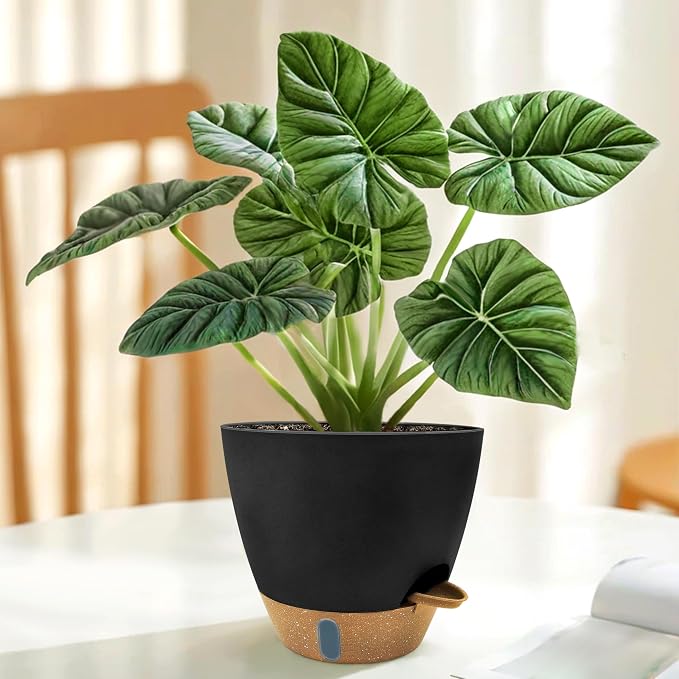 12/10/9/8 inch Self Watering Pots - Image 6