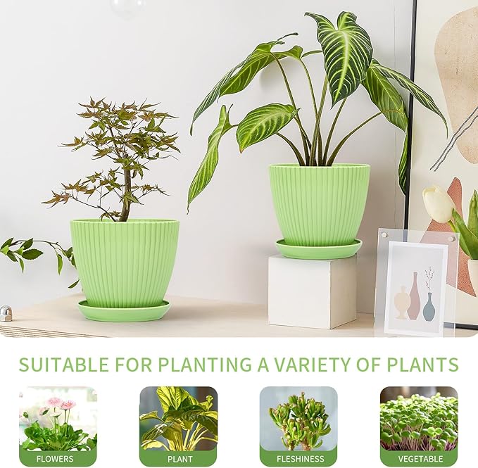 Plant Pots Indoor with Saucers & Drainage - Image 3