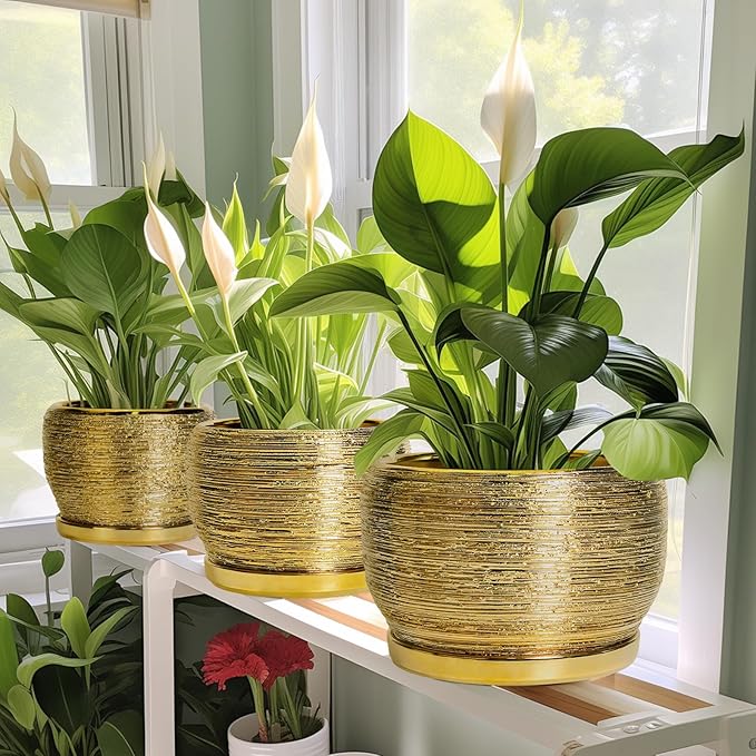 SQOWL Ceramic Planter - Image 5