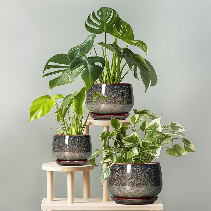 G EPGardening Ceramic Planters - Image 8