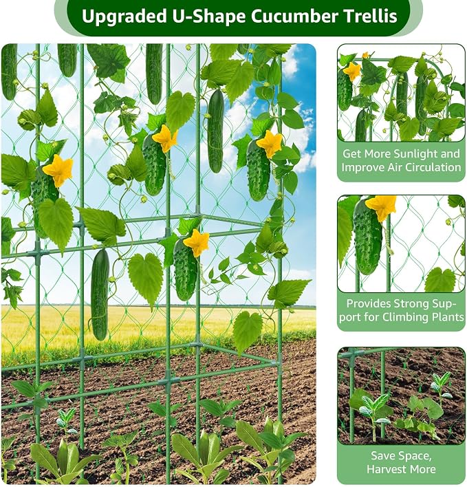65"×48" Upgrade Heightened Cucumber Trellis - Image 2