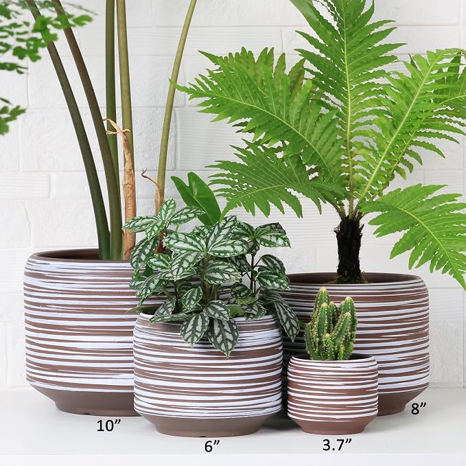 10 Inch Ceramic Plant Pot with Drainage – Large Flower Pot - Image 4