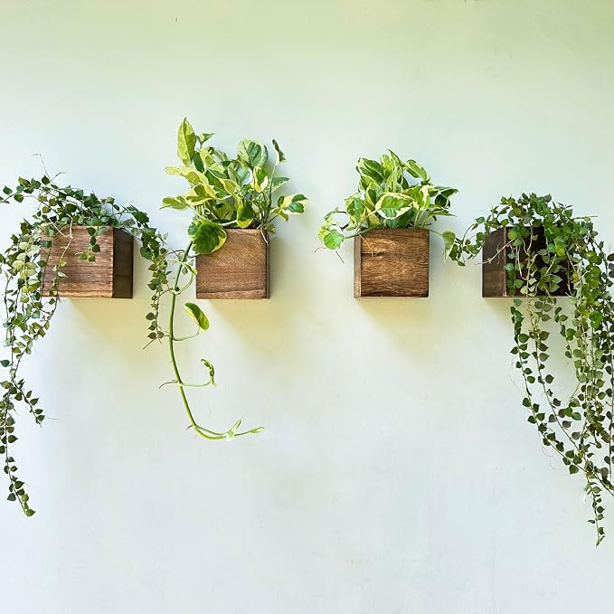 LaLaGreen Wood Planter Boxes Small Square Wooden Wall Mounted Flower Pot by L%C3%A1L%C3%A1Green