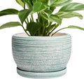 SQOWL Ceramic Planters for Indoor Plants by SQOWL