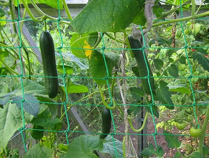 Trellis Netting for Climbing Plants - Image 6