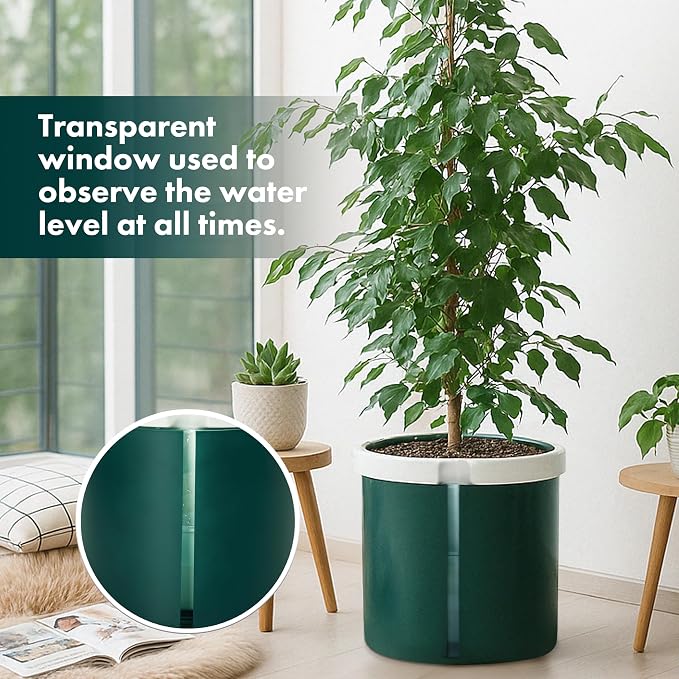D'vine Dev 10 Inch Design Self Watering Planter - Image 4