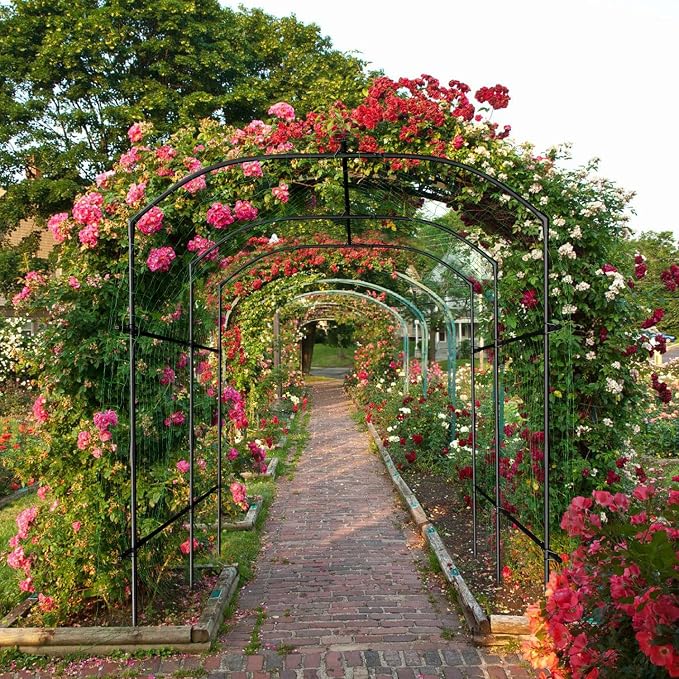 SUNYRISY Garden Arch Trellis for Climbing Plants Outdoor Gardening - Image 6