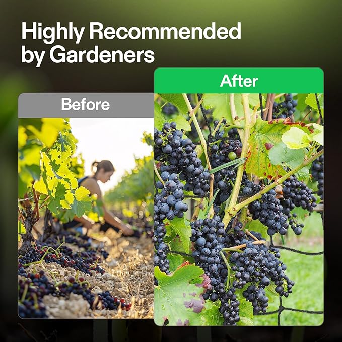 VIVOSUN 2 x 4Ft. Elastic Trellis Netting - Image 5
