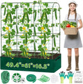 Cucumber Trellis for Climbing Plants by ROADPLUM