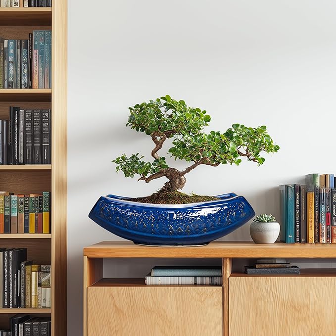 Bonsai Pots - 18 Inch Large Ceramic Succulent Pots - Image 3