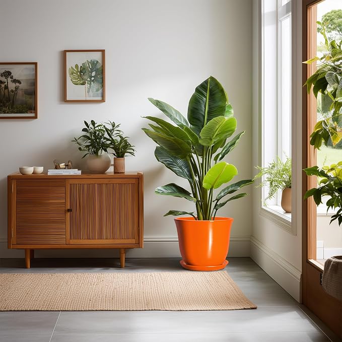 10 Inch Plant Pot - Image 3